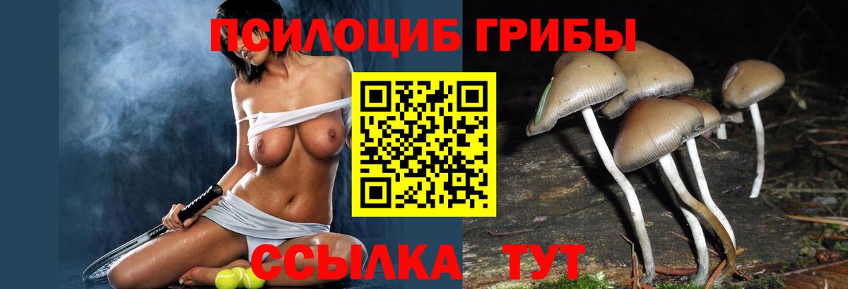 Галлюциногенные грибы мухоморы Шелехов