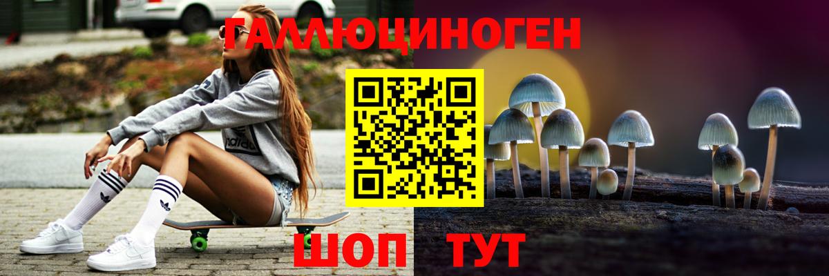 Шелехов  Галлюциногенные грибы ЛСД  Вход с VPN 